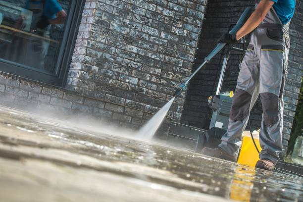 Boat and Dock Cleaning in Mayer, MN