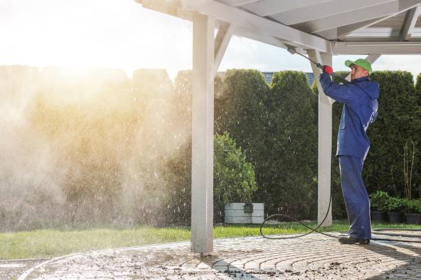 Best Sign and Awning Cleaning  in Mayer, MN