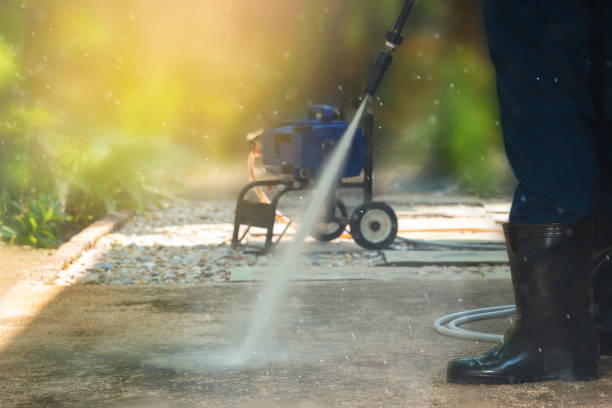 Best Sidewalk and Walkway Cleaning  in Mayer, MN